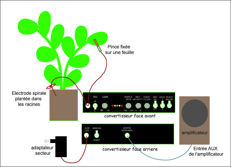 schéma appareil musique des plantes