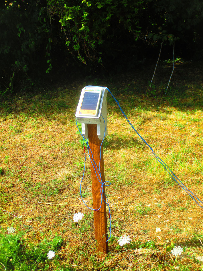 The Plantonic 50 in the new garden